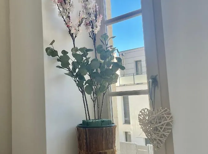 Superbe 40 M2 Confort Au Coeur De Dijon